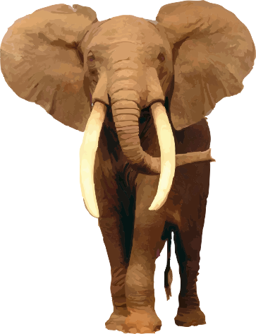 ELEFANTE_PNG.png