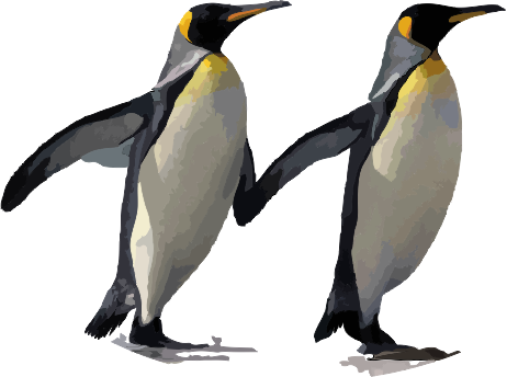 PINGUINOS_PNG.png